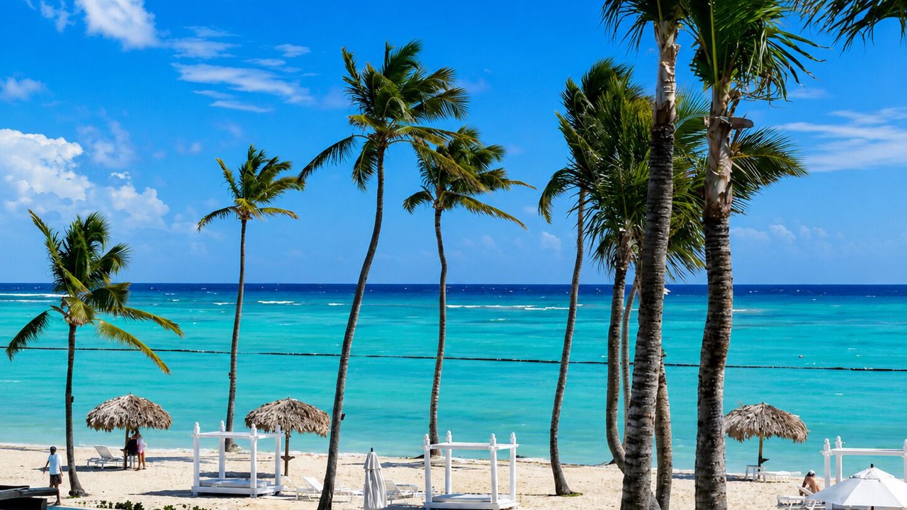 Photo of Others in Cap Cana Marina