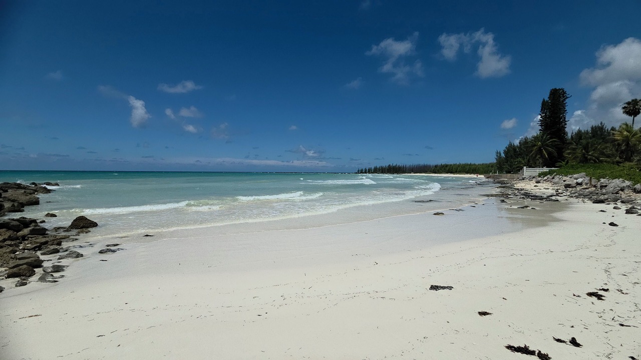 Photo of Others in Bahamas Terrace