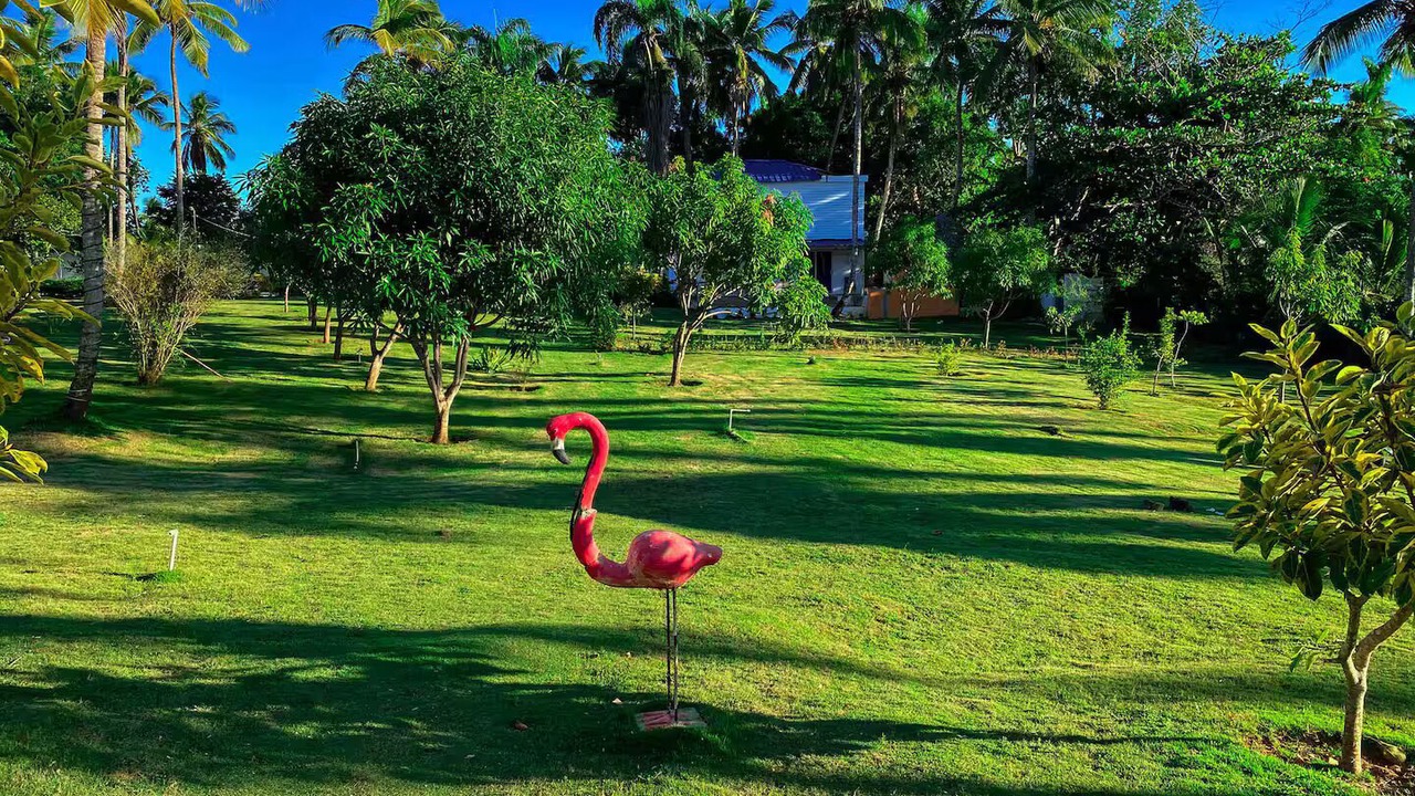 Photo of Outdoor in Cabrera