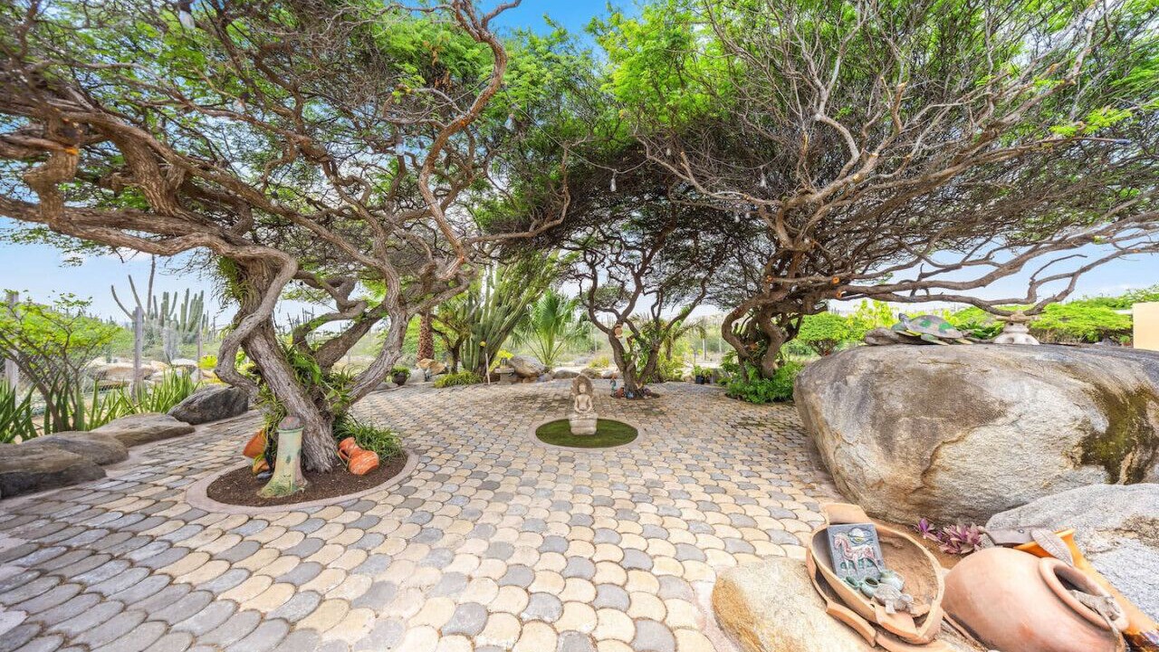 Photo of Outdoor in Santa Cruz