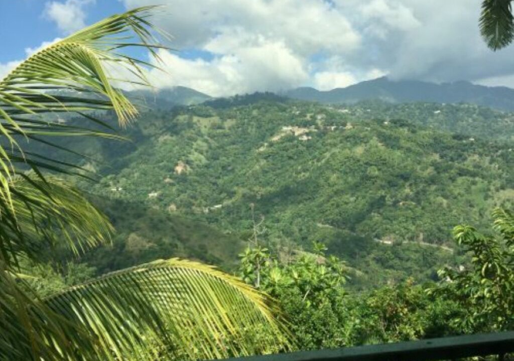 Photo of Outdoor in Jack's Hill