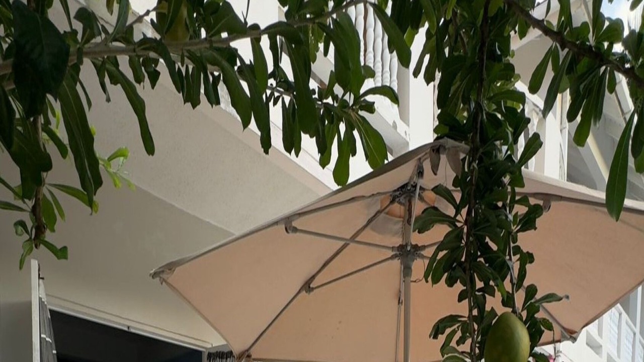 Photo of Outdoor in Rodney Bay