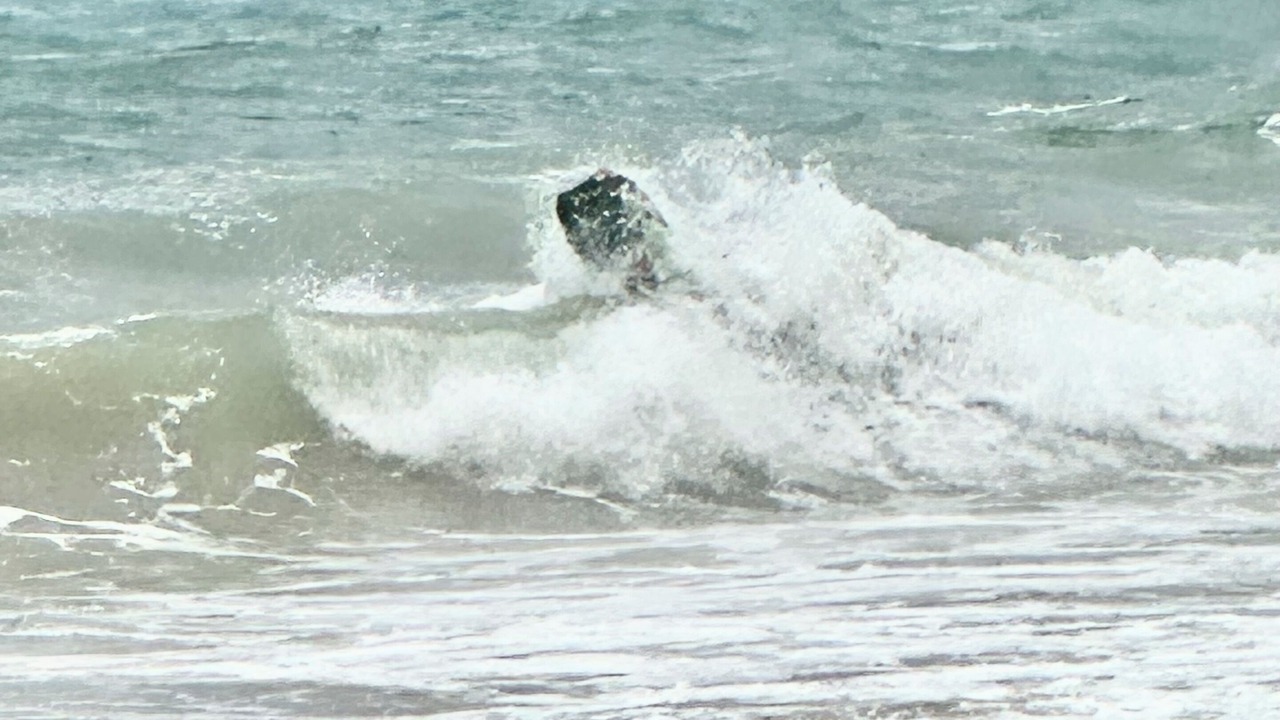 Photo of Others in La Pared