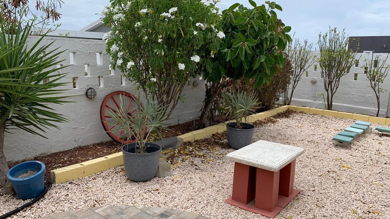 Photo of Outdoor in Sero Colorado