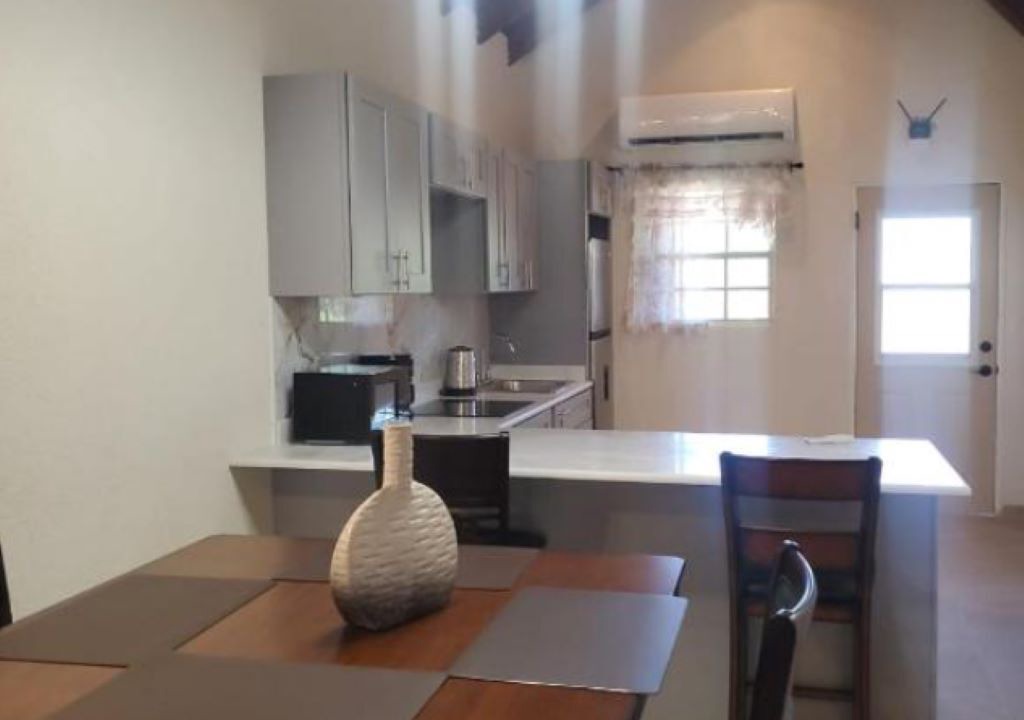 Photo of Kitchen in Dickenson Bay