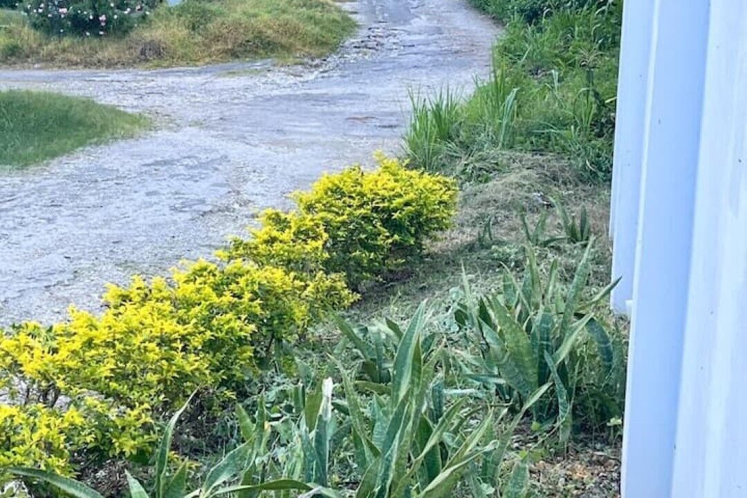 Photo of Outdoor in Yallahs