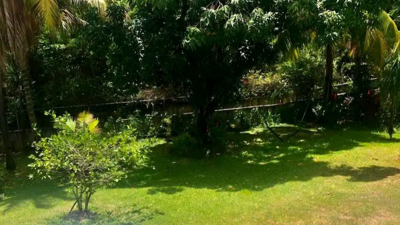 Photo of Outdoor in Gros Islet