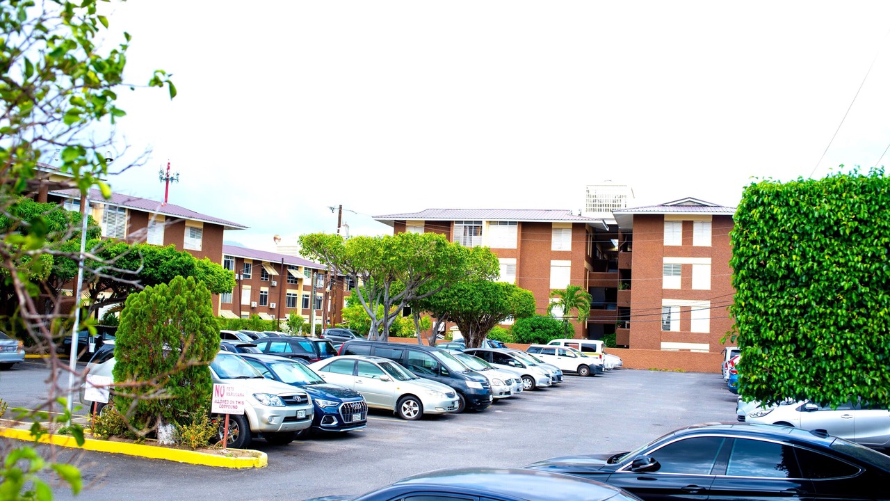 Photo of Others in New Kingston