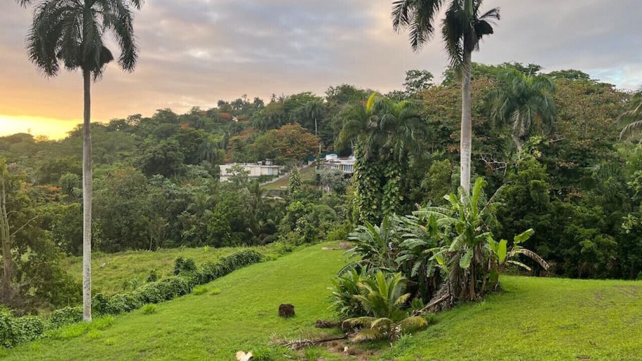Photo of Outdoor in Rio