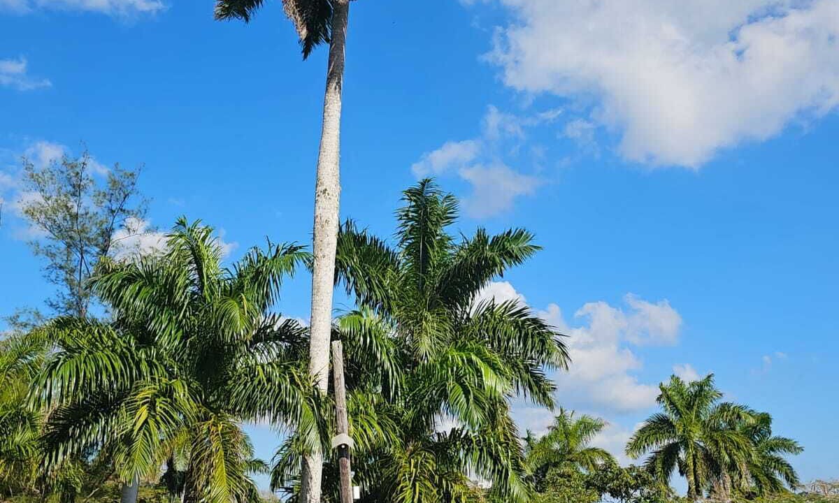 Photo of Outdoor in Porus