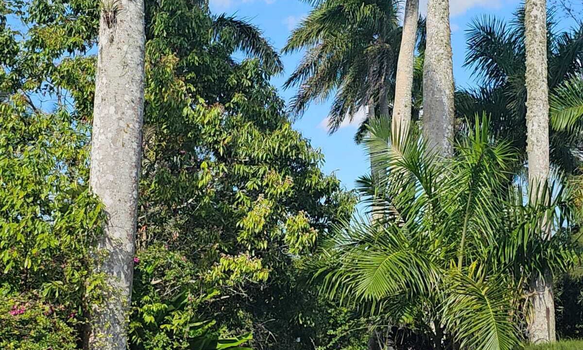 Photo of Outdoor in Porus