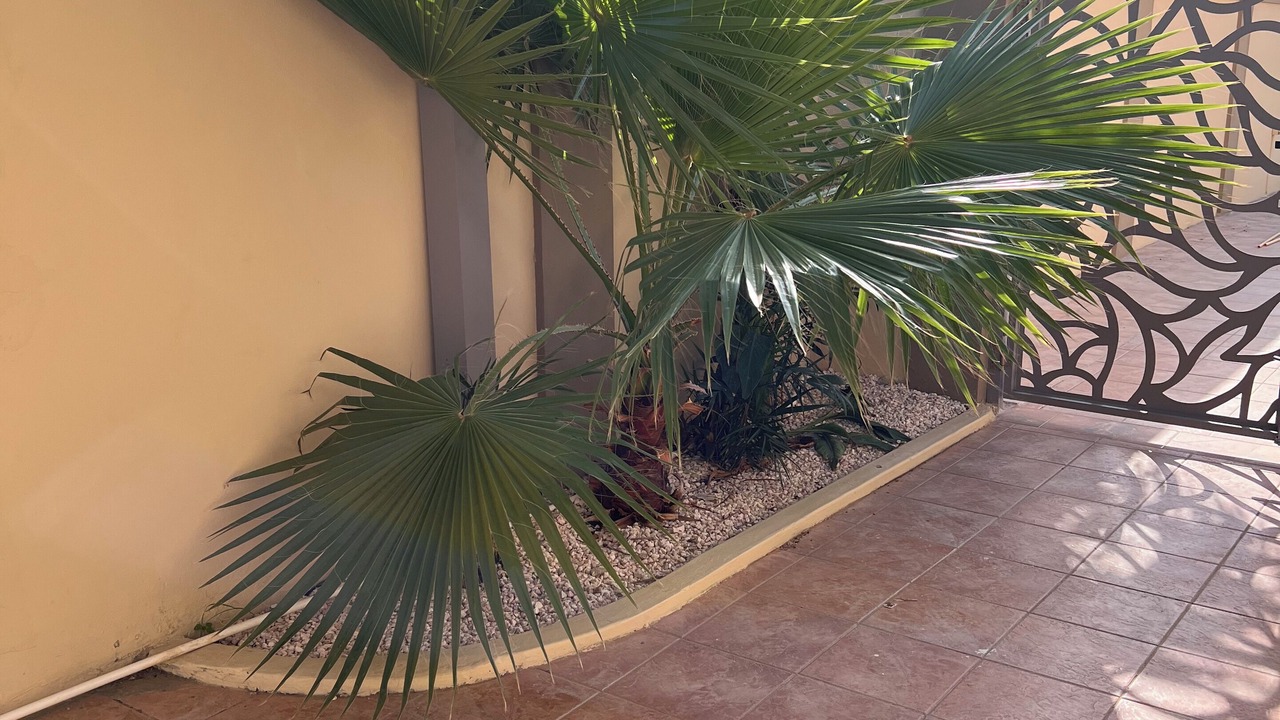 Photo of Outdoor in Sabana Liber