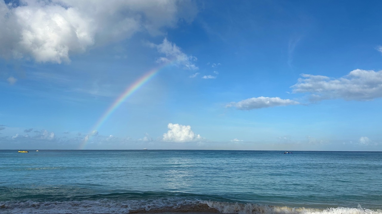 Photo of Others in Bridgetown
