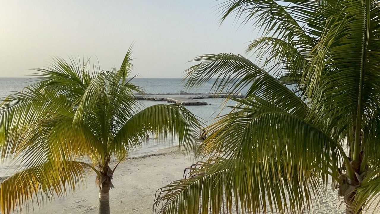 Photo of Others in St. Ann's Bay