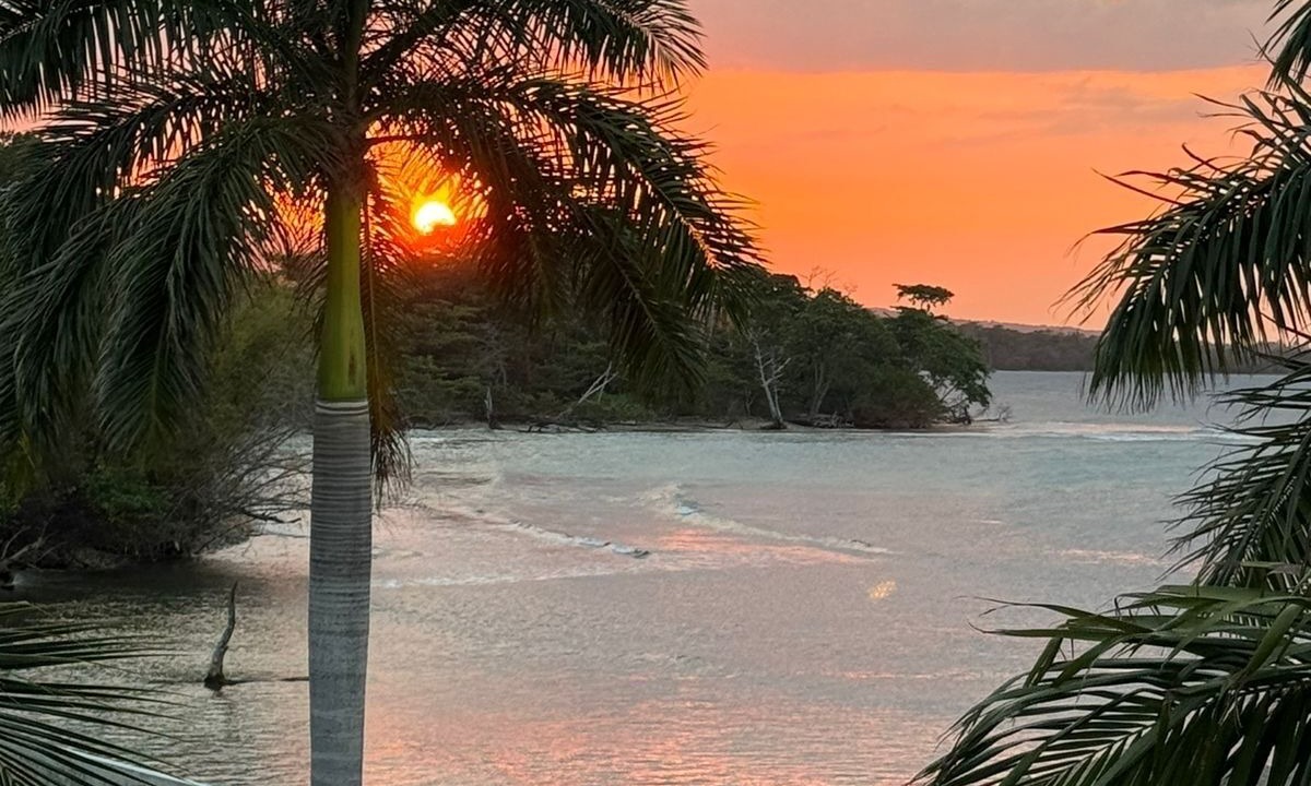 Photo of Others in St. Ann's Bay