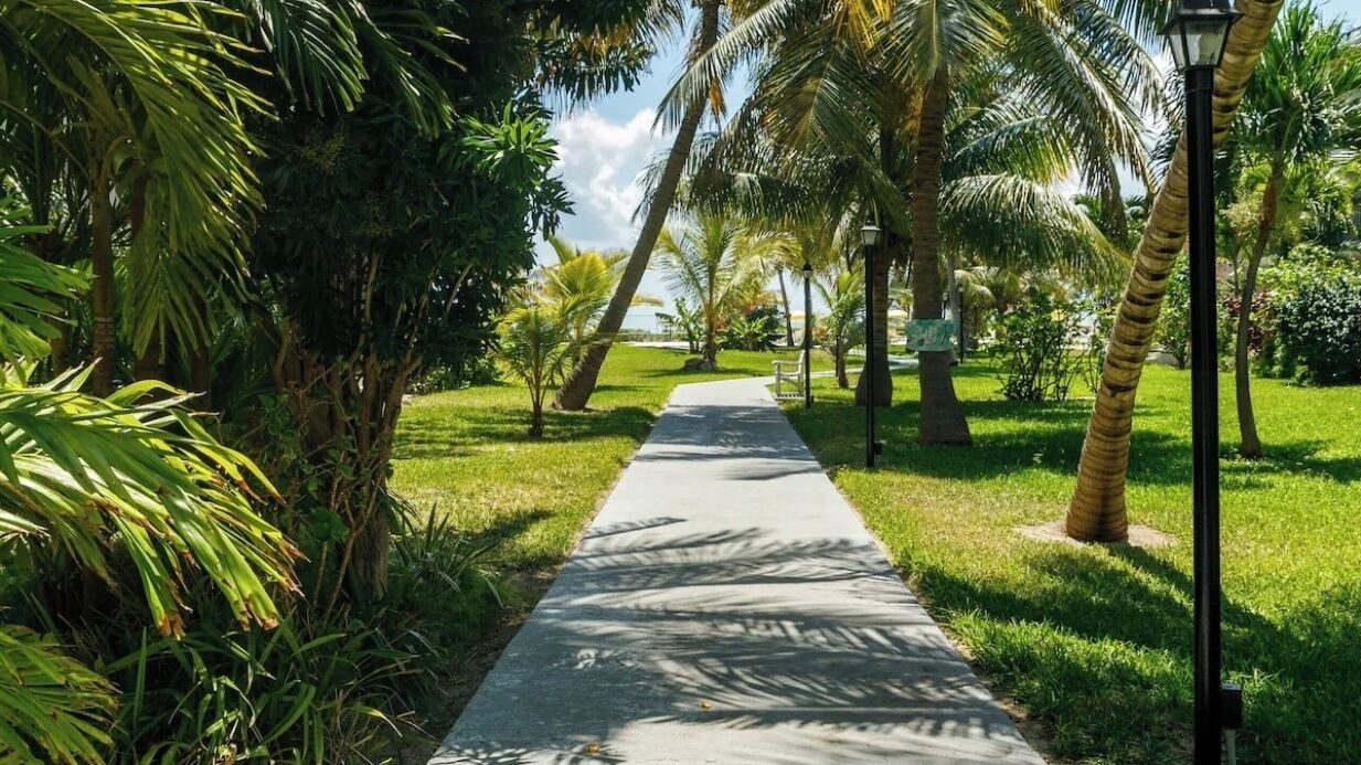 Photo of Outdoor in Williams Town