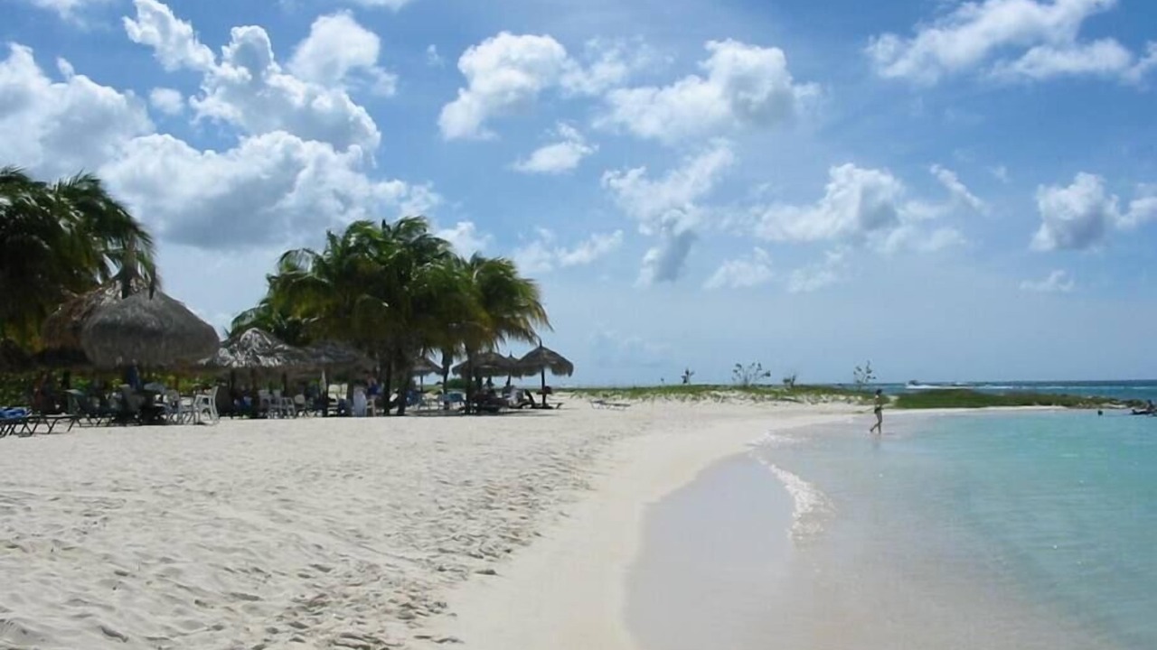 Photo of Others in Palm Beach