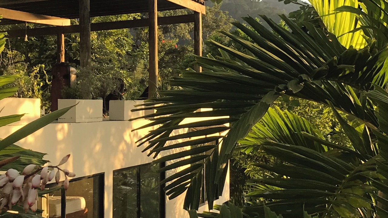 Photo of Outdoor in Port Antonio