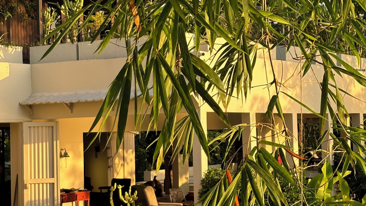 Photo of Patio Balcony in Port Antonio