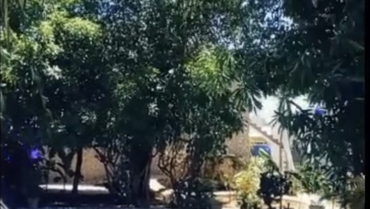 Photo of Outdoor in West End