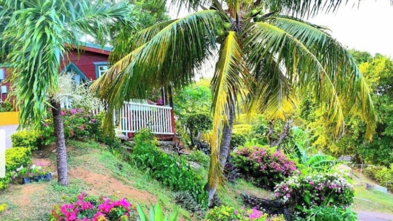 Photo of Outdoor in Cap Estate