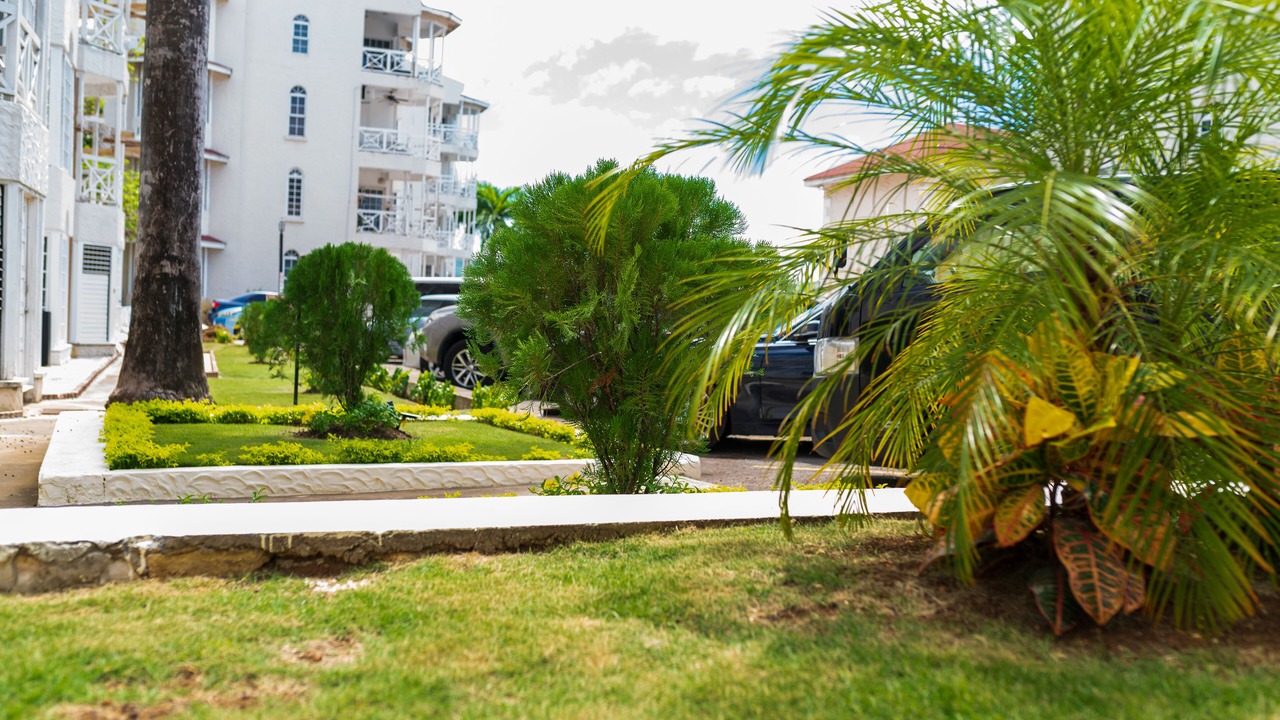 Photo of Outdoor in Montego Bay