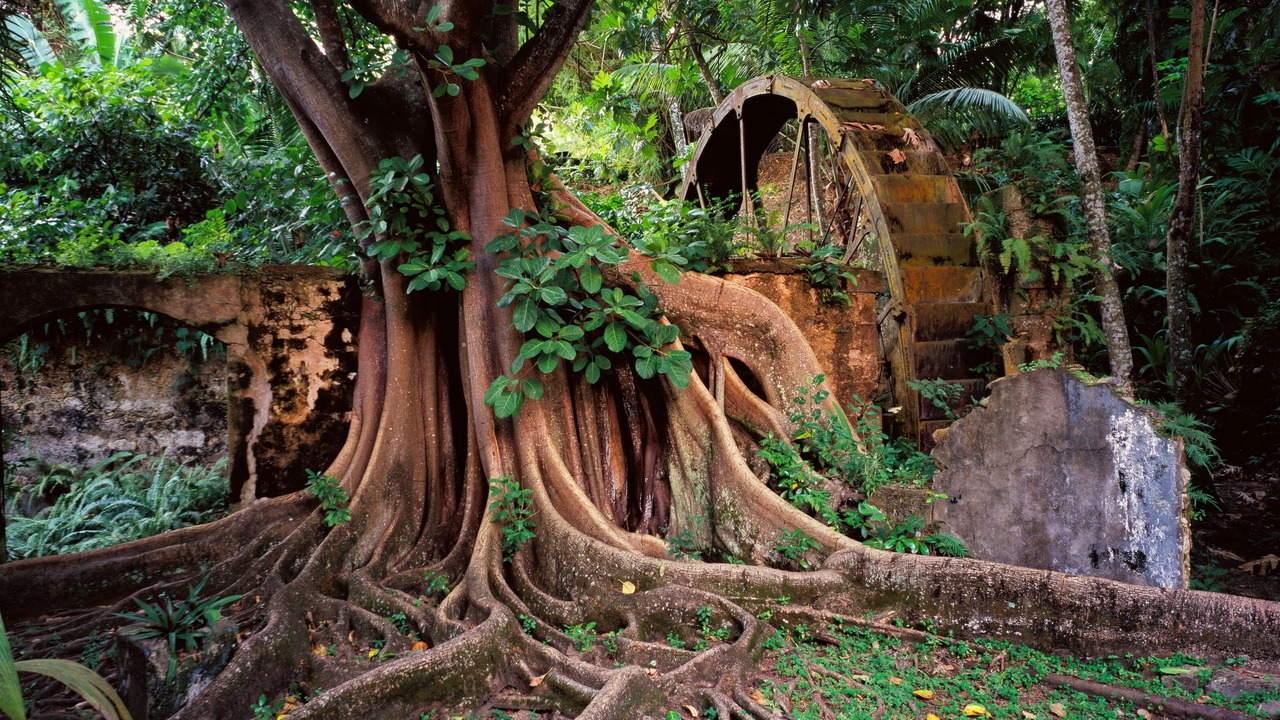 Photo of Outdoor in Piaye