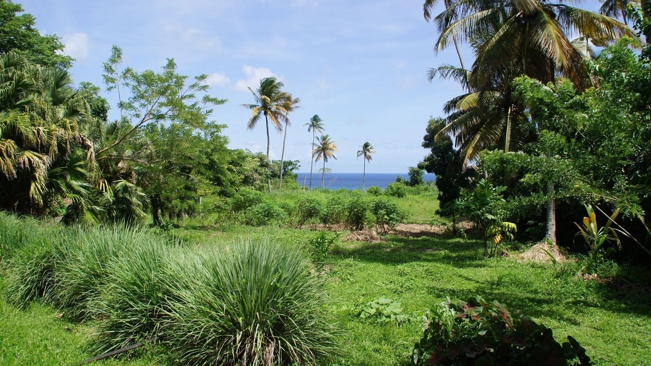 Photo of Others in Piaye