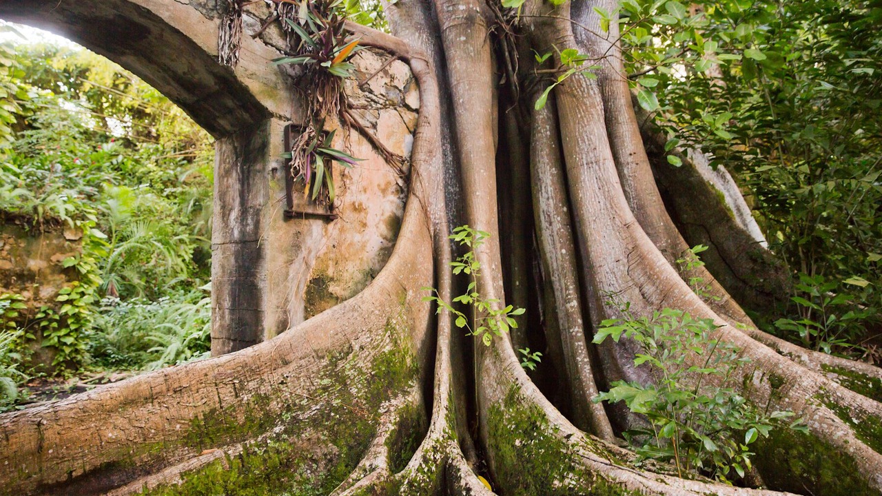 Photo of Outdoor in Piaye
