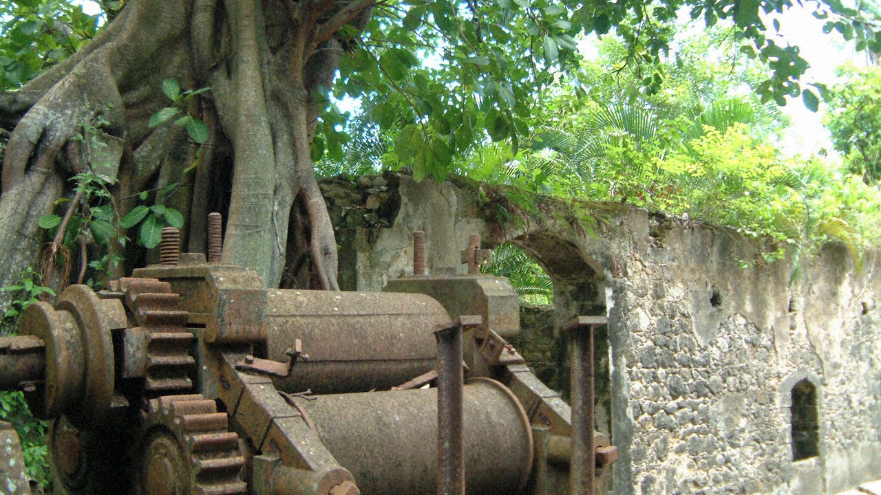 Photo of Others in Piaye
