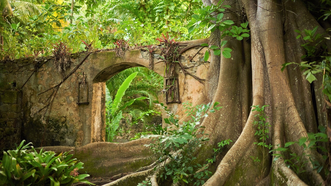 Photo of Outdoor in Piaye