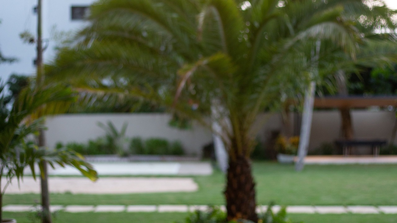 Photo of Outdoor in Puerto Bahia