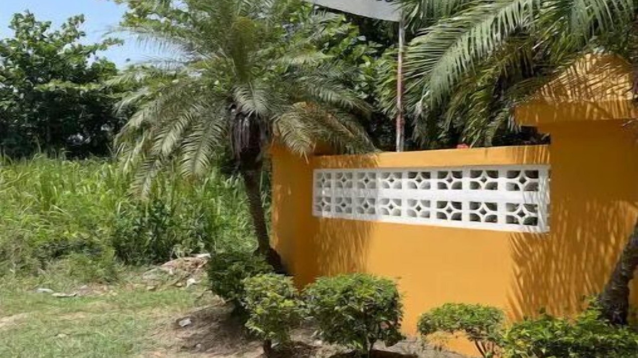 Photo of Outdoor in St. Ann's Bay