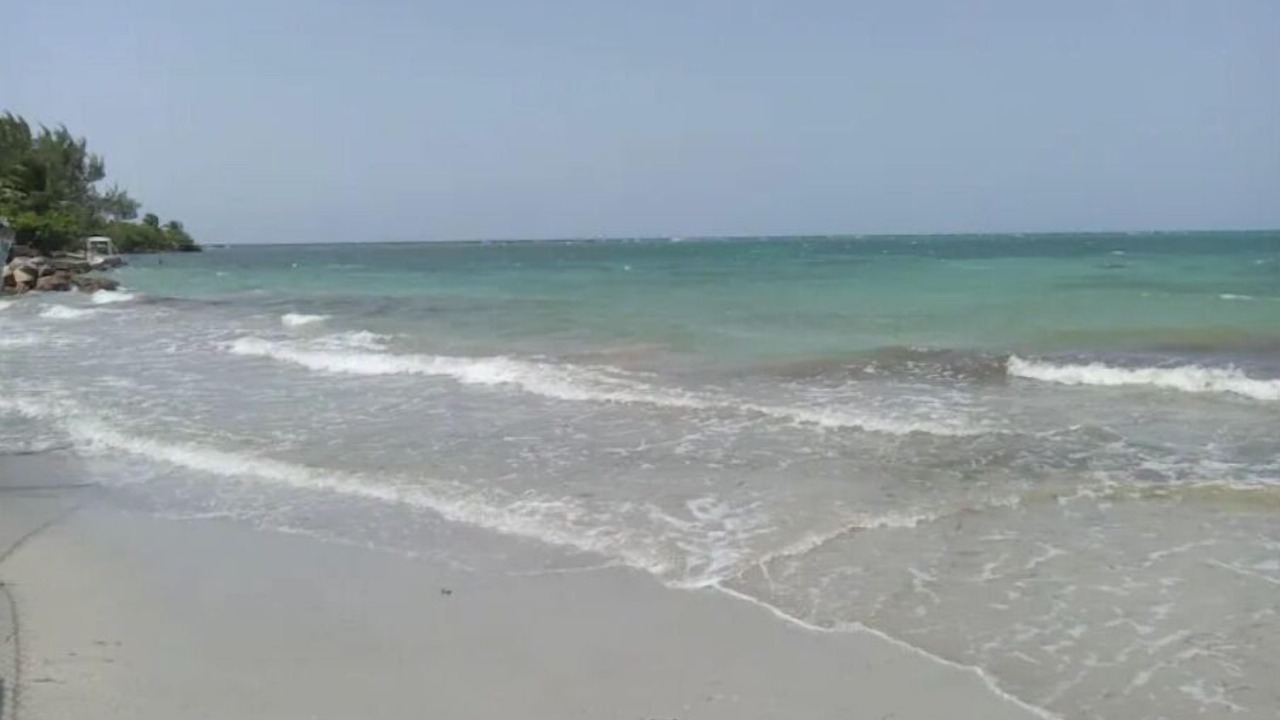 Photo of Others in St. Ann's Bay