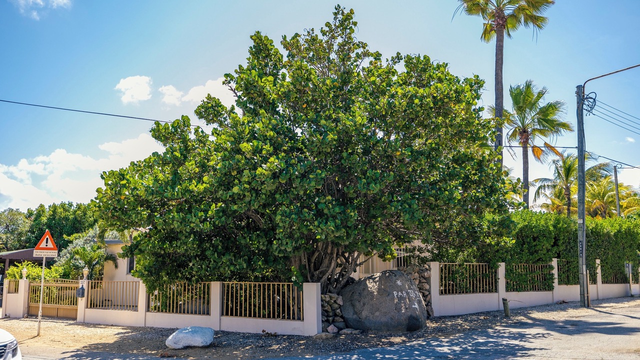Photo of Outdoor in Paradera