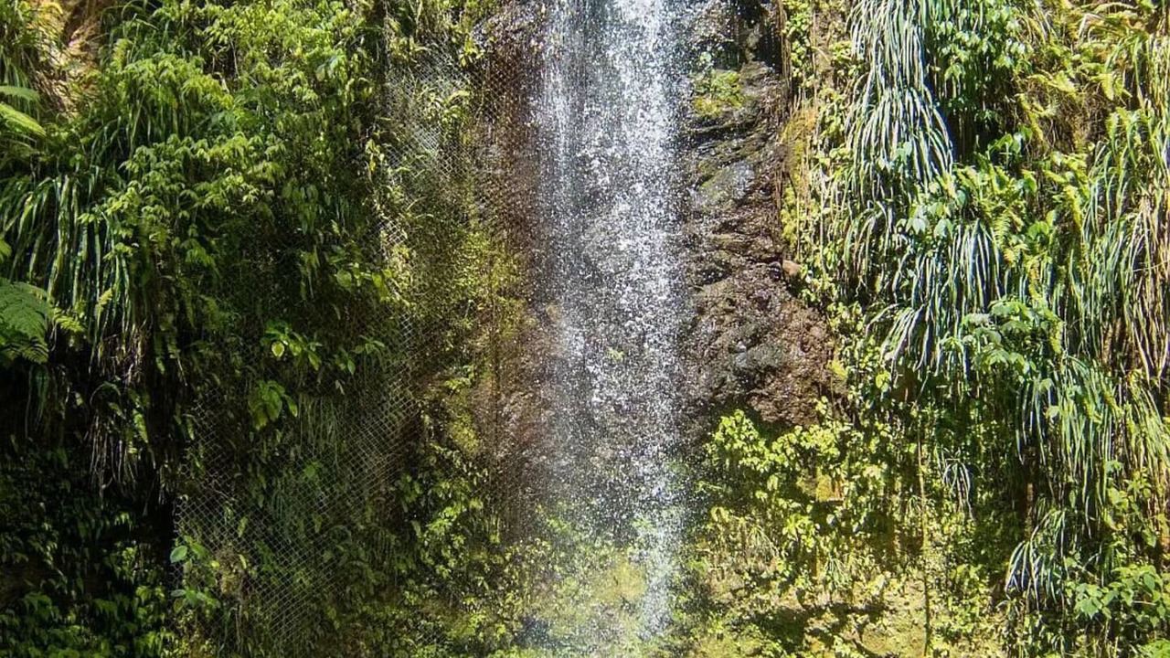 Photo of Outdoor in Soufriere