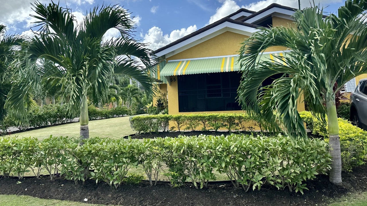 Photo of Outdoor in St. Ann's Bay