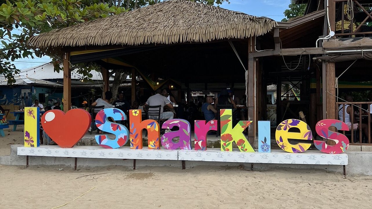 Photo of Others in Discovery Bay