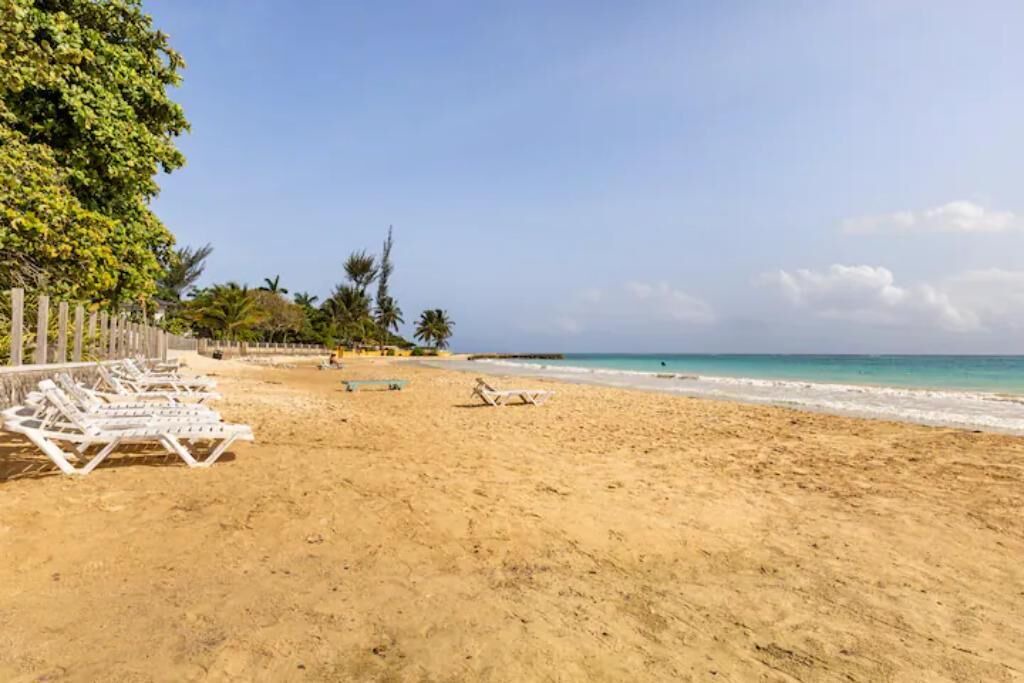 Photo of Others in Mammee Bay