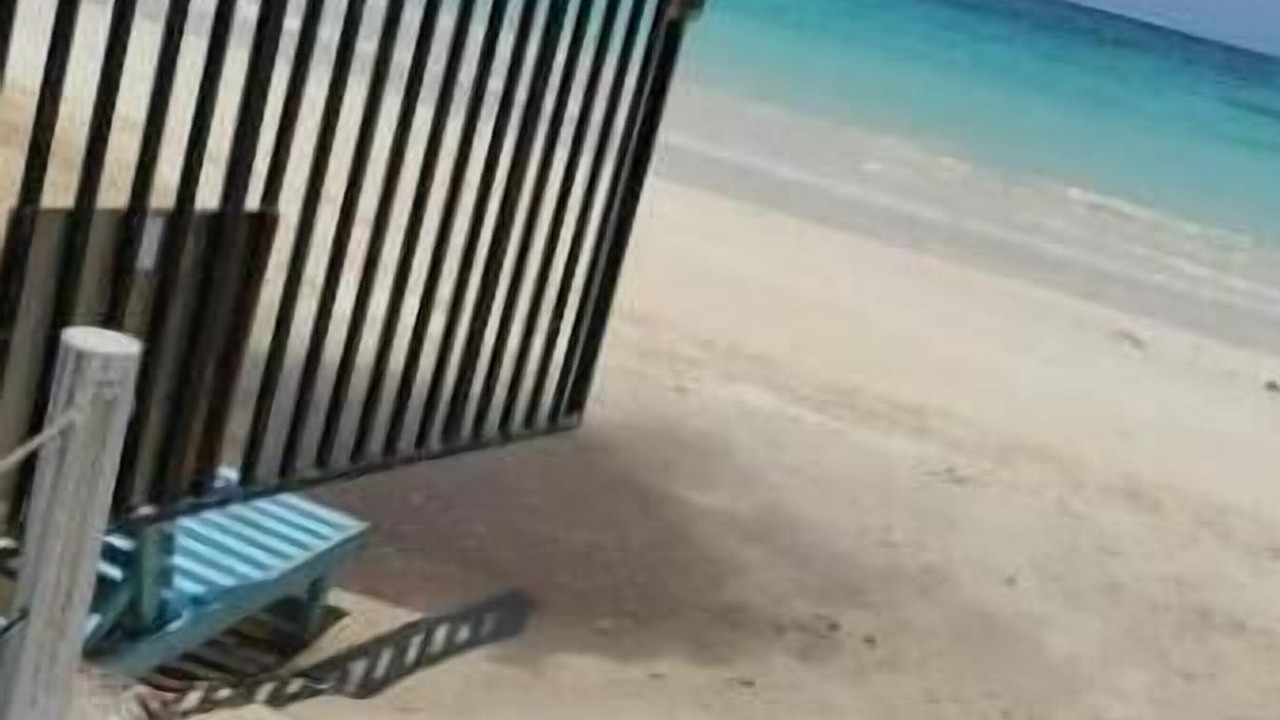 Photo of Others in Mammee Bay