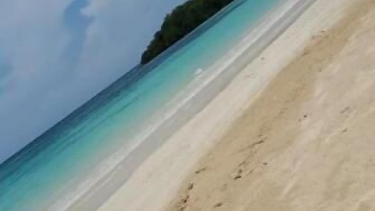 Photo of Others in Mammee Bay