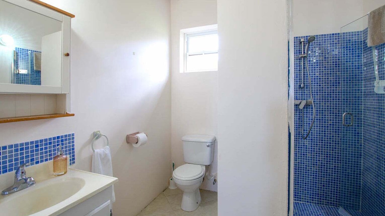 Photo of Bathroom in Speightstown