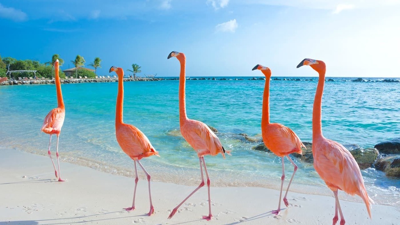 Photo of Others in Palm Beach