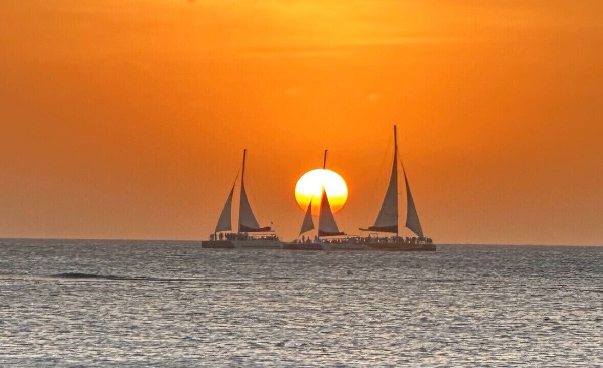 Photo of Others in Palm Beach