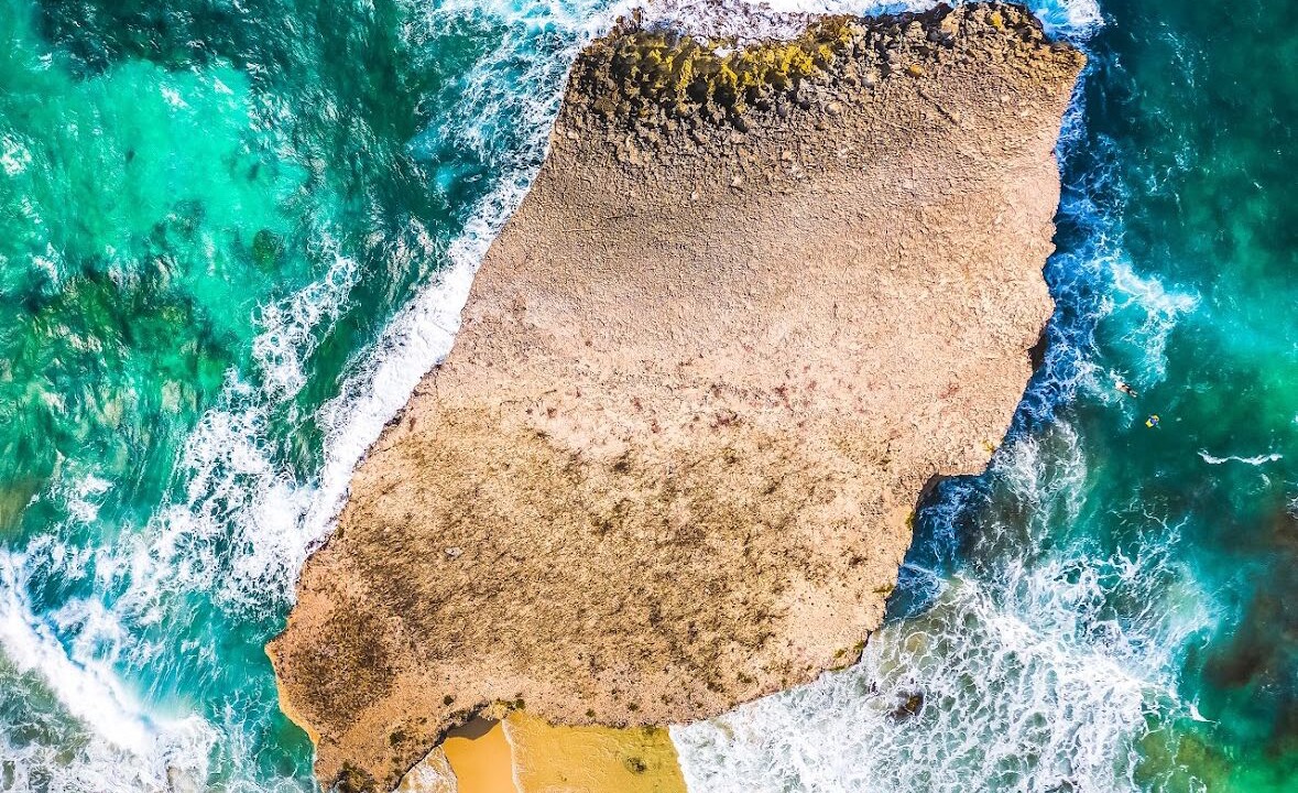 Photo of Others in Palm Beach