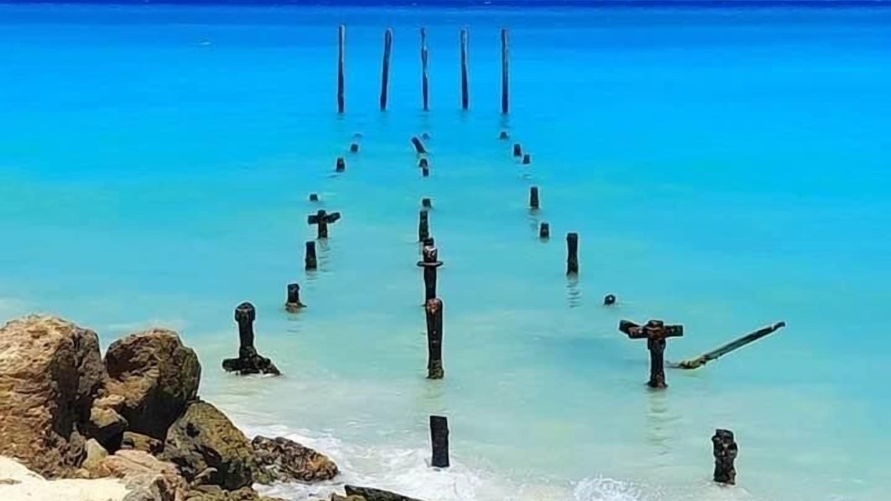 Photo of Others in Palm Beach