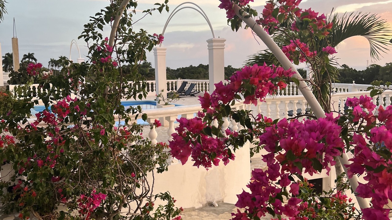 Photo of Outdoor in Cabrera