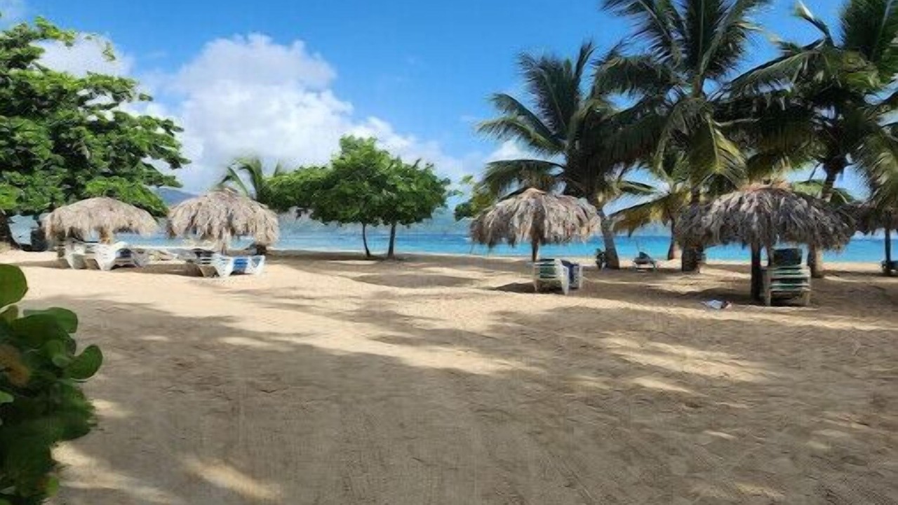 Photo of Others in Las Galeras