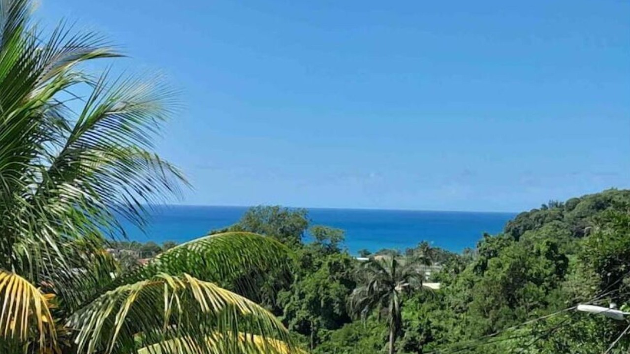 Photo of Others in Castries