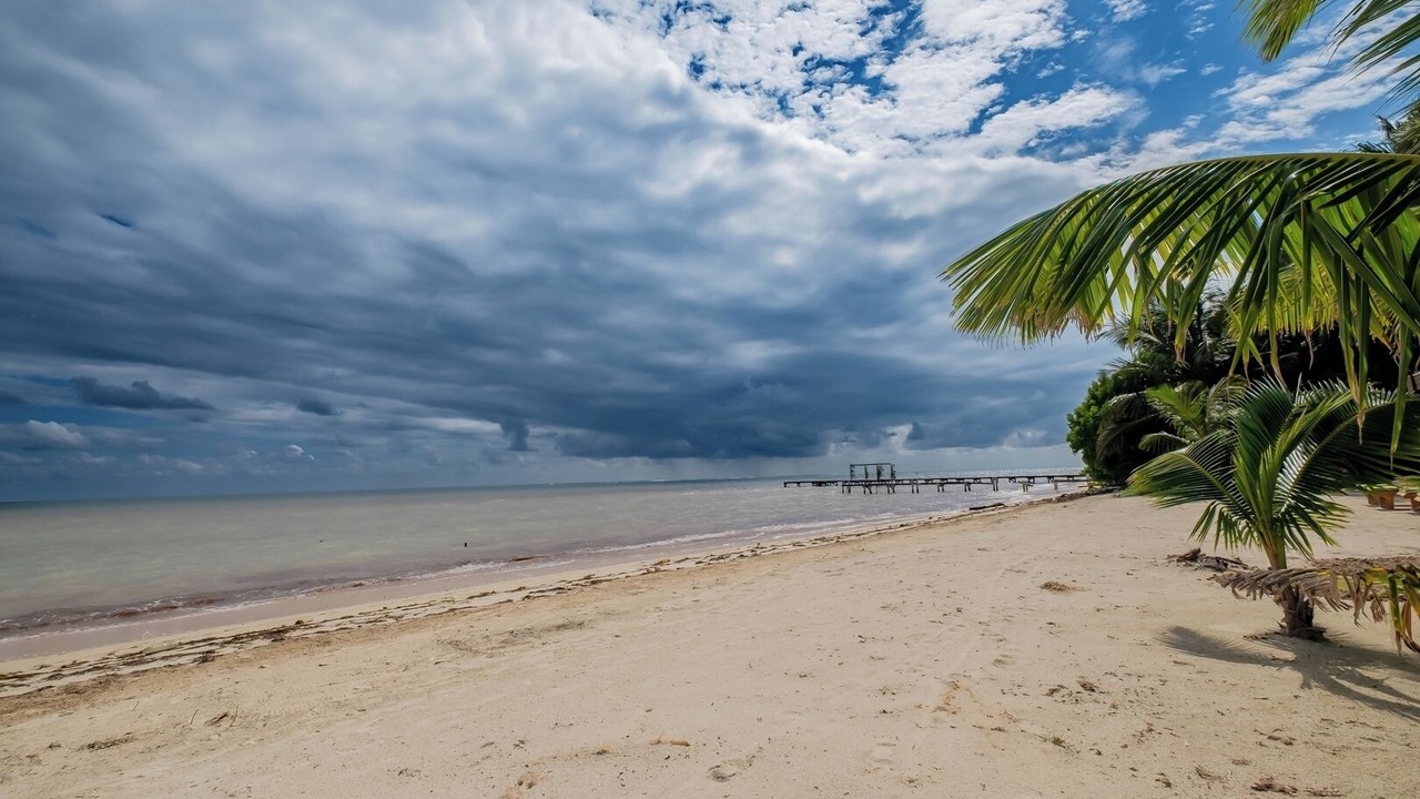 Photo of Others in San Pedro
